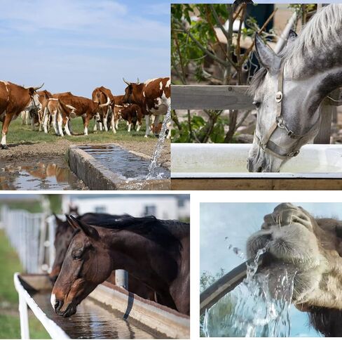 فلتر مكعب لحوض السمك من قطعتين، عبوة من قطعتين، حوض السمك من الكربون النشط للبرك وحوض السمك وحوض المخزون للخيول، مكعب تنقية مياه حوض السمك صديق للبيئة مقاس 4×4×2 انش in Kuwait
