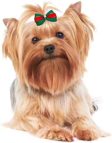 PET SHOW 20pcs Halloween Small Dog Hair Bows with Rubber Bands for Medium Dogs Holiday Puppies Cats Kittens Rabbits Topknot Grooming Costumes Hair Accessories in Saudi Arabia