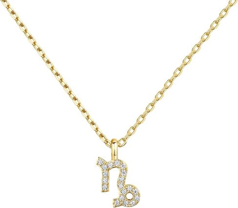PAVOI 14K Gold Plated CZ Astrology Necklace Astrology Necklace | Astrology Gifts For Women | Zodiac Necklaces in Kuwait