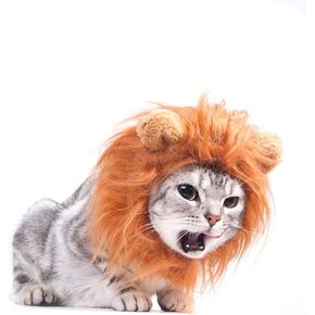 زي تنكري للكلاب للهالوين والكريسماس والحفلات التنكرية للكلاب الصغيرة والمتوسطة والكبيرة (شعر ليون، مقاس S) in Kuwait