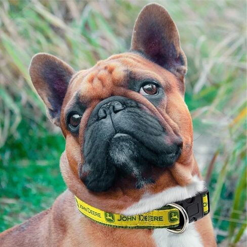 Pets First John Deere Pet Collar. Licensed Dog Collar, Large Collar for Pets. A Shiny & Colorful Cat Collar & Dog Collar Licensed by John Deere for All Farmers, Contractors, Team Color (JOD-3588-LG) in Saudi Arabia