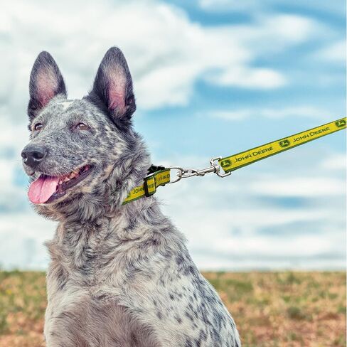 Pets First John Deere Pet Collar. Licensed Dog Collar, Large Collar for Pets. A Shiny & Colorful Cat Collar & Dog Collar Licensed by John Deere for All Farmers, Contractors, Team Color (JOD-3588-LG) in Saudi Arabia