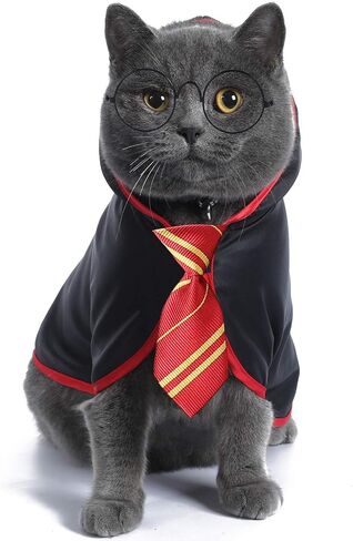 Cat Halloween Costume Anime Pet Clothes for Small Dog Kitten Costume Wizard Accessories Outfits (S) Red in Kuwait