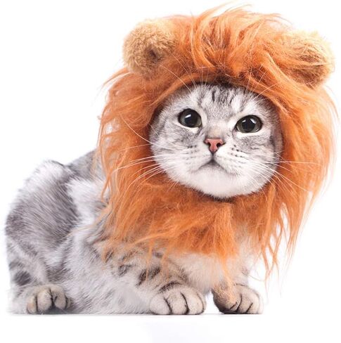 زي تنكري للكلاب للهالوين والكريسماس والحفلات التنكرية للكلاب الصغيرة والمتوسطة والكبيرة (شعر ليون، مقاس S) in Kuwait