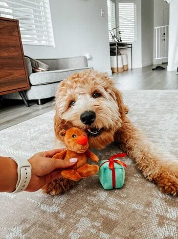 Midlee Santa Sleigh Find a Toy Christmas Dog Toy- Plush Burrow Interactive Hide & Seek Pet Holiday Toy in Saudi Arabia