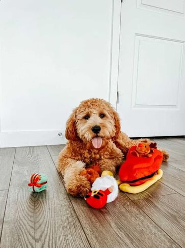 Midlee Santa Sleigh Find a Toy Christmas Dog Toy- Plush Burrow Interactive Hide & Seek Pet Holiday Toy in Saudi Arabia