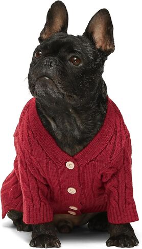 Fitwarm Dog Cardigan Sweater, Knitted Dog Winter Clothes for Small Dogs Girl Boy, Pet Cat Outfit, Burgundy Red, Medium in Saudi Arabia
