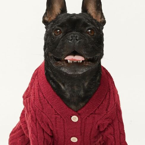 Fitwarm Dog Cardigan Sweater, Knitted Dog Winter Clothes for Small Dogs Girl Boy, Pet Cat Outfit, Burgundy Red, Medium in Saudi Arabia