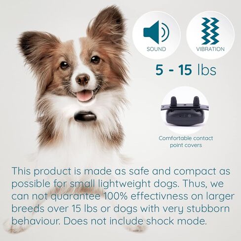 GoodBoy Mini No Shock Remote Collar for Dogs with Beep and Vibration Modes for Pet Behaviour Training - Waterproof & 1000 Feet Range - Suitable for Small to Medium Dogs (5-15 lbs) in Kuwait
