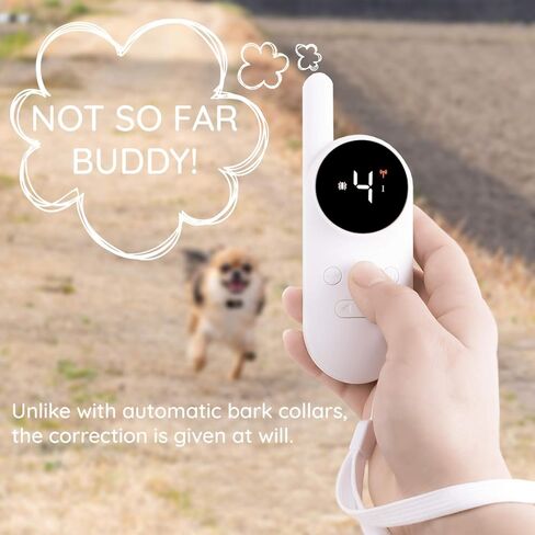 GoodBoy Mini No Shock Remote Collar for Dogs with Beep and Vibration Modes for Pet Behaviour Training - Waterproof & 1000 Feet Range - Suitable for Small to Medium Dogs (5-15 lbs) in Kuwait