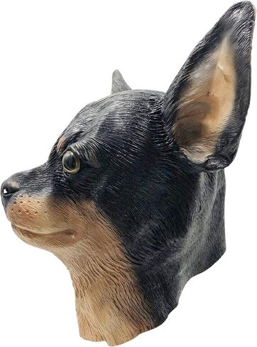 قناع وجه تشيهواهوا للكلاب من أوف ذا وول تويز in Kuwait