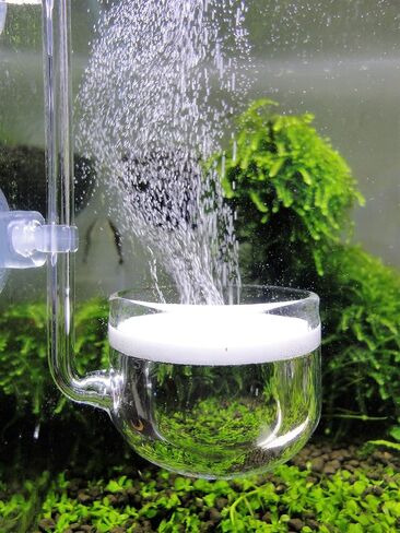 JARDLI Music Glass CO2 Diffuser لمصنع حوض السمك (2 بوصة للخزان الذي يتجاوز 75 جالونًا) in Kuwait