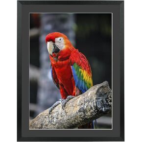 Mxtallup 18x22 in Diamond Painting Picture Frames 16x20 in Diamond Art Frame , Display Pictures16x20 Inch/ 40x50 cm with Mat or 18x22 Inch/45x55 cm Without Mat, Wall Diamond Embroidery 18x22 Picture in Kuwait