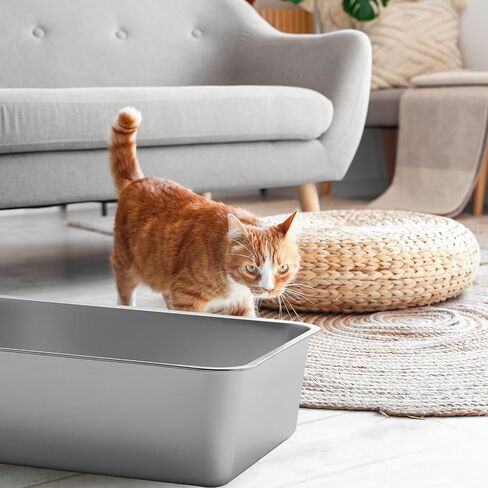 10 Packs Stainless Steel Litter Box for Cat Extra Large Metal Litter Box Non Stick Litter Pan with High Sides Never Absorbs Odor, Rustproof, Easy to Clean for Cat Dog (19.5 x 13.5 x 6 Inch) in Saudi Arabia