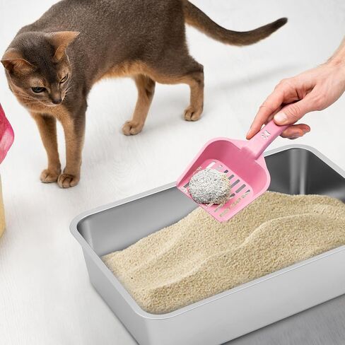 10 Packs Stainless Steel Litter Box for Cat Extra Large Metal Litter Box Non Stick Litter Pan with High Sides Never Absorbs Odor, Rustproof, Easy to Clean for Cat Dog (19.5 x 13.5 x 6 Inch) in Saudi Arabia