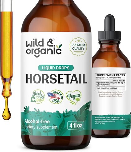 Wild & Organic Horsetail Liquid Extract - Horsetail Herb Supplement for Hair Growth - Vegan, Alcohol Free Drops - 2 fl oz in Kuwait