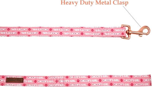 Lionheart glory Valentine's Day Strong Dog Leash, Spring Durable Dog leashes with Soft Handle for Walking Training X-Small Male or Female Dogs in Kuwait