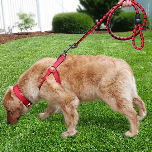 Huture Double Carabiner Hook Double Carabiner Snap Hook Bolt Catch Chains Snap Hook Rotatable Straight Swivel Zinc Die-Cast Nickel Plated 89 mm - Glossy Black - Set of 2 in Kuwait