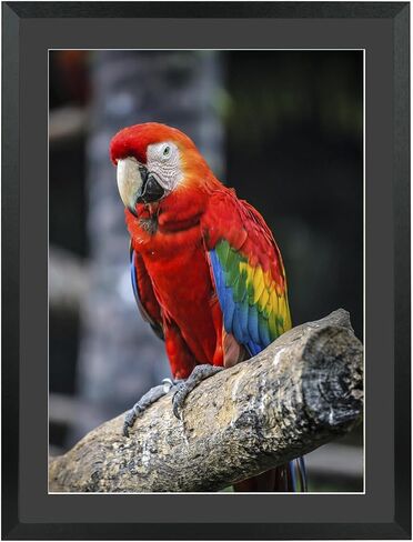 Mxtallup 18x22 in Diamond Painting Picture Frames 16x20 in Diamond Art Frame , Display Pictures16x20 Inch/ 40x50 cm with Mat or 18x22 Inch/45x55 cm Without Mat, Wall Diamond Embroidery 18x22 Picture in Saudi Arabia