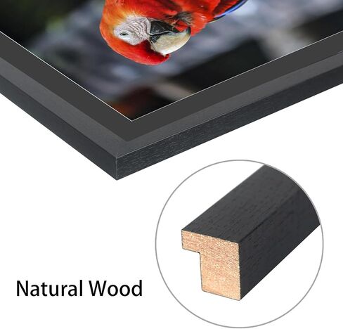 Mxtallup 18x22 in Diamond Painting Picture Frames 16x20 in Diamond Art Frame , Display Pictures16x20 Inch/ 40x50 cm with Mat or 18x22 Inch/45x55 cm Without Mat, Wall Diamond Embroidery 18x22 Picture in Saudi Arabia