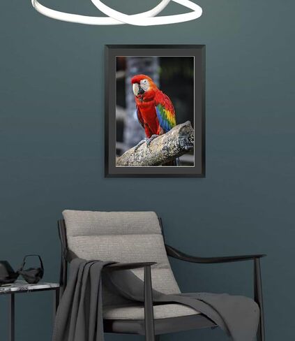 Mxtallup 18x22 in Diamond Painting Picture Frames 16x20 in Diamond Art Frame , Display Pictures16x20 Inch/ 40x50 cm with Mat or 18x22 Inch/45x55 cm Without Mat, Wall Diamond Embroidery 18x22 Picture in Saudi Arabia