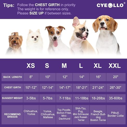 cyeollo Small Dog Sweater Turtleneck Knitted Dog Sweaters Soft Knitwear Gradient Color Classic Warm Winter Dog Clothes for Dogs Cats Apparel in Kuwait