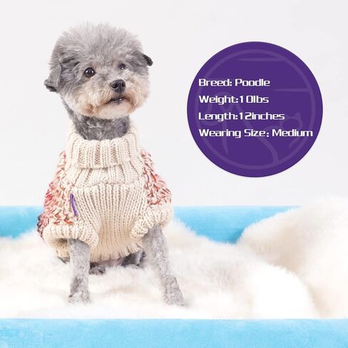 cyeollo Small Dog Sweater Turtleneck Knitted Dog Sweaters Soft Knitwear Gradient Color Classic Warm Winter Dog Clothes for Dogs Cats Apparel in Kuwait
