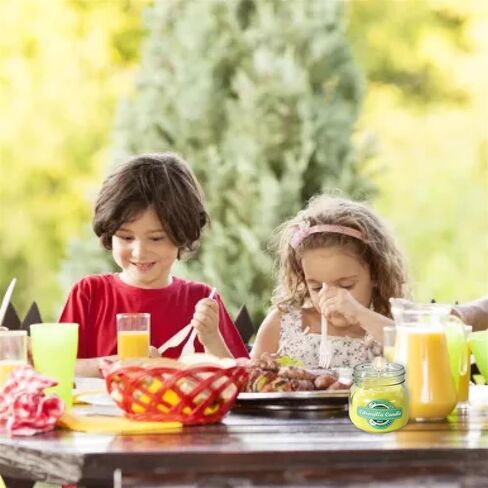 2PCS Candles for Home Scented,90 Hrs Long Lasting Organic Soy Candles,Reliefing and Relaxing Scented,Lavender and Jasmine Scent,for Home & Bedroom,Best Gift for Family,Friends, Colleagues(8oz) in Kuwait