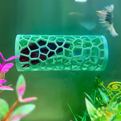 ابيزو نفق سمكة بيتا، تصميم مجوف لمراقبة اسماك بيتا بشكل أفضل، ديكورات حوض سمك بيتا in Kuwait