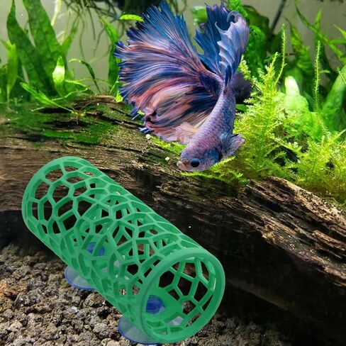 ابيزو نفق سمكة بيتا، تصميم مجوف لمراقبة اسماك بيتا بشكل أفضل، ديكورات حوض سمك بيتا in Kuwait