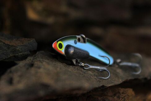 SteelShad - Mini Series (1/4 oz) - 2 Pack - Lipless Crankbait for Freshwater Fishing - Perfect for Ice Fishing, Pan Fishing, Crappie, Walleye and Bass in Saudi Arabia