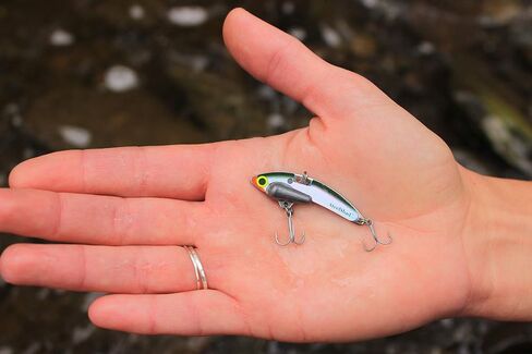 SteelShad - Mini Series (1/4 oz) - 2 Pack - Lipless Crankbait for Freshwater Fishing - Perfect for Ice Fishing, Pan Fishing, Crappie, Walleye and Bass in Saudi Arabia