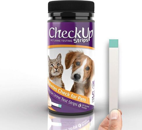 CheckUp Glucose Urine Testing Strips for Cats and Dogs - Detection of Glucose Levels x 50 in Kuwait