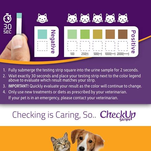 CheckUp Glucose Urine Testing Strips for Cats and Dogs - Detection of Glucose Levels x 50 in Kuwait