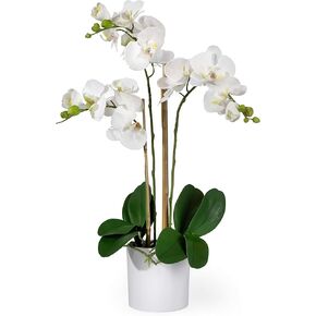 Serene Spaces Living 3 White Realistic Phalaenopsis Orchids in Pot, Artificial Potted Flowers - Beautiful Entryway Vase, Foyer Table Décor, Measures 26" Tall & 5" Diameter in Kuwait