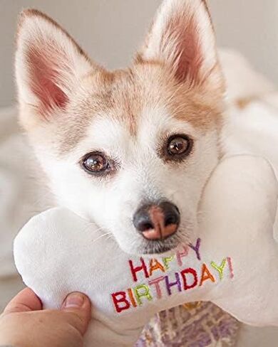 ألعاب الكلاب القطيفة اللطيفة والمرحة من تونبو (مجموعة الفائز) in Kuwait