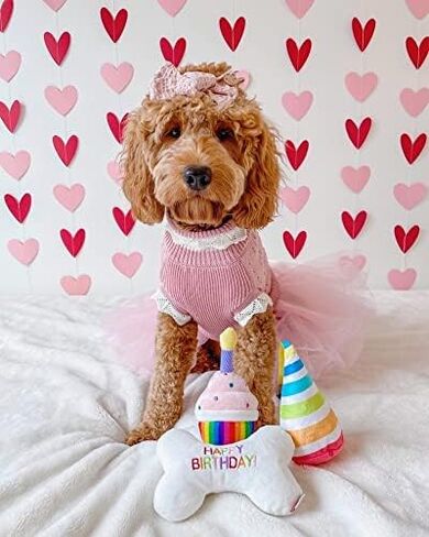 ألعاب الكلاب القطيفة اللطيفة والمرحة من تونبو (مجموعة الفائز) in Kuwait