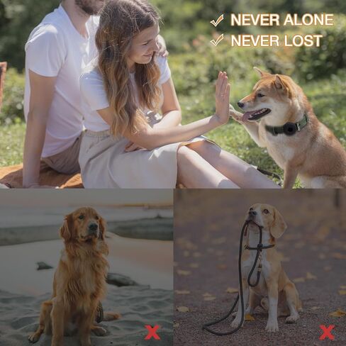 ياقة جلدية بلوري من الألياف الدقيقة من بريتي جولي للكلاب مع واقي بطاقة هوائية وحلقات على شكل حرف D، طوق ناعم متعدد المقاسات قابل للتعديل مع أطواق للكلاب من مادة قابلة للتنفس للكلاب الكبيرة (L_Coffee) in Kuwait