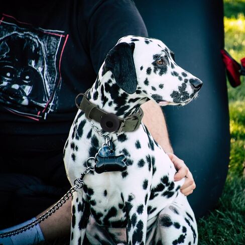 ياقة جلدية بلوري من الألياف الدقيقة من بريتي جولي للكلاب مع واقي بطاقة هوائية وحلقات على شكل حرف D، طوق ناعم متعدد المقاسات قابل للتعديل مع أطواق للكلاب من مادة قابلة للتنفس للكلاب الكبيرة (L_Coffee) in Kuwait