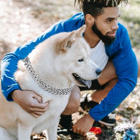 Chain Dog Collar Adjustable Choke Collar Dog Training Collar for Small Medium Large Dogs (Small) in Saudi Arabia