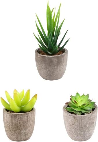 Yoodelife Artificial Faux Succulents Decorative Fake Cactus Aloe Cacti Plants Gray Pots, Realistic Looking Assortments 6 Pcs Potted Succulents Green in Kuwait