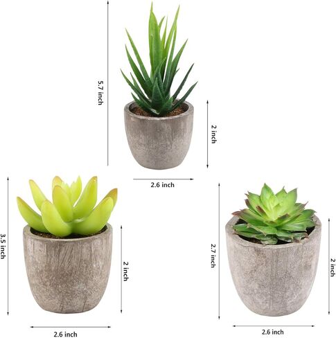 Yoodelife Artificial Faux Succulents Decorative Fake Cactus Aloe Cacti Plants Gray Pots, Realistic Looking Assortments 6 Pcs Potted Succulents Green in Kuwait