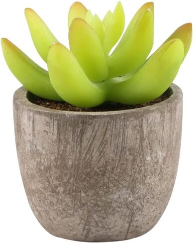 Yoodelife Artificial Faux Succulents Decorative Fake Cactus Aloe Cacti Plants Gray Pots, Realistic Looking Assortments 6 Pcs Potted Succulents Green in Kuwait