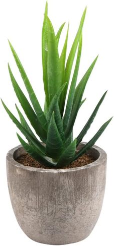 Yoodelife Artificial Faux Succulents Decorative Fake Cactus Aloe Cacti Plants Gray Pots, Realistic Looking Assortments 6 Pcs Potted Succulents Green in Kuwait