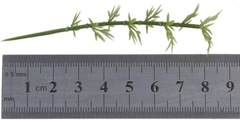 WINOMO 100pcs Plastic Model Bamboo Trees Green 1:200 in Saudi Arabia