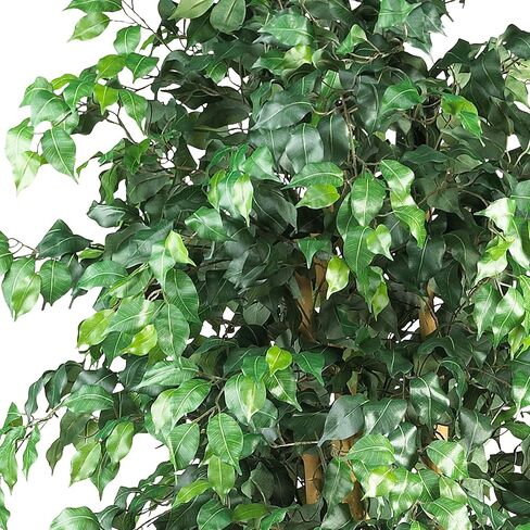 Nearly Natural Artificial Ficus Tree, Green, one Size in Saudi Arabia
