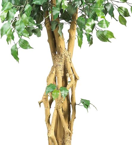 Nearly Natural Artificial Ficus Tree, Green, one Size in Saudi Arabia