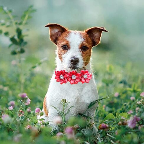 20Pcs Christmas Dog Collar Bow Tie Flower with Diamond Crystal, Adjustable Puppy Dog Christmas Collar Bows Pet Collar Tie Cat Bowties for Birthday Party Wedding Dogs Bowties in Kuwait