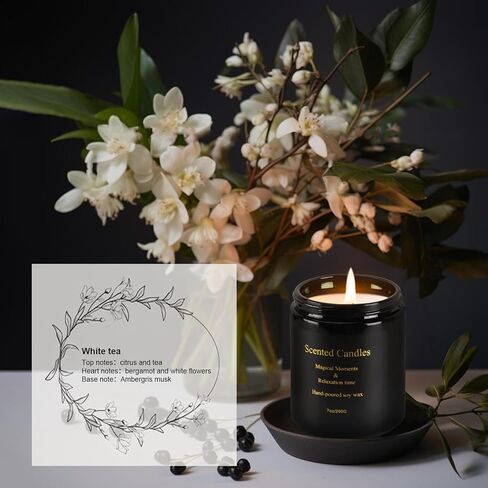 Qonmpcvu Westin White Tea Scented Candle, Candles for Home Scented, Scented Candles with Gift Box, Candles Gifts for Women & Men, Natural Soy Wax, 8 oz 45 Hour Burn Aromatherapy Candle in Kuwait
