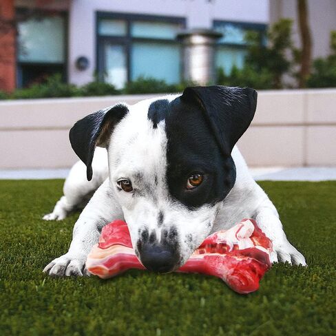 HAPPYDOG Ultra Durable Non-Toxic Dog Chew Toy (Beef) in Kuwait